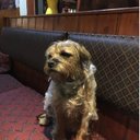 Adrian Bacon - @AdrianBacon18 - Twitter