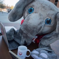 UA Office of Information Technology (@oitatua) 's Twitter Profile