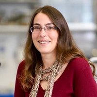 Prof Anne Goodenough (@dockling83) 's Twitter Profile Photo Prof Anne Goodenough (@dockling83) 's Twitter Profile Photo