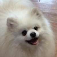 Quigley Movie (@quigleymovie) 's Twitter Profile