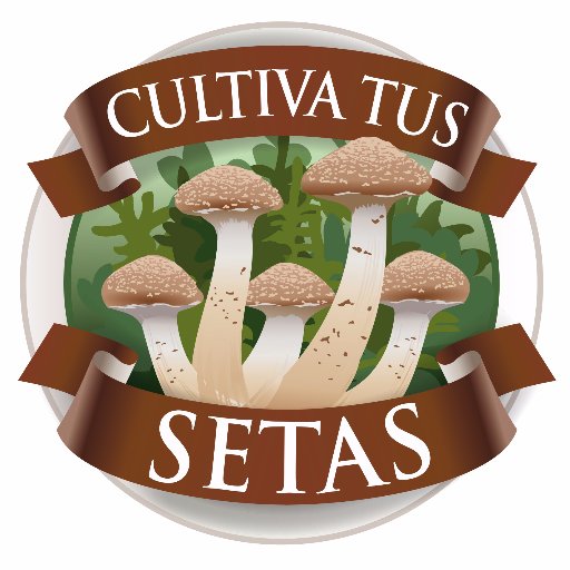 Kit autocultivo de Setas Gourmet, seta Shiitake, seta Enoki, seta de Cardo, Champiñon, Portobello........