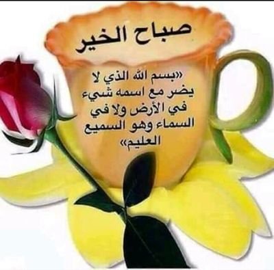 N1fgvcAWCZUZKfg's profile picture. 