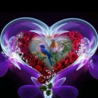 ysmen44's profile picture. ‏ياطير ياللي بالفضاء خفاق..
وصل سلامي ولهفة حنيني .. ‏