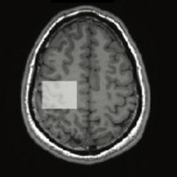 Ian Greenhouse (@greenhouse_lab) 's Twitter Profile