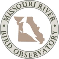 MO River Bird Observatory(@MoRiverBirdObs) 's Twitter Profile Photo