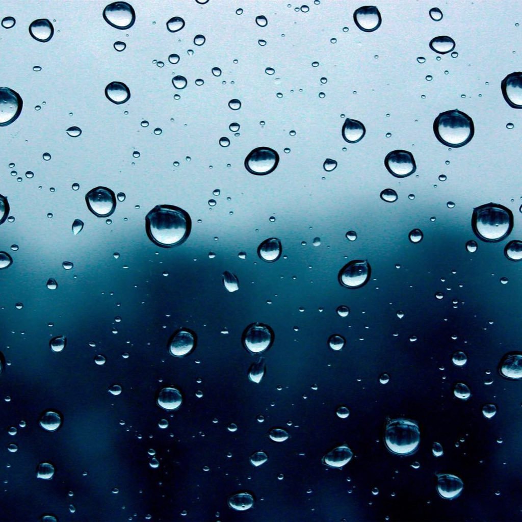 court7589's profile picture. 