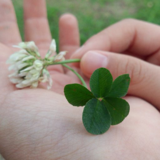 _takaramono_'s profile picture. この心地のよい晴れの国が好きです🍀
写真や動画を撮るのも好きで、不慣れですが時々撮ってはアップしています📷