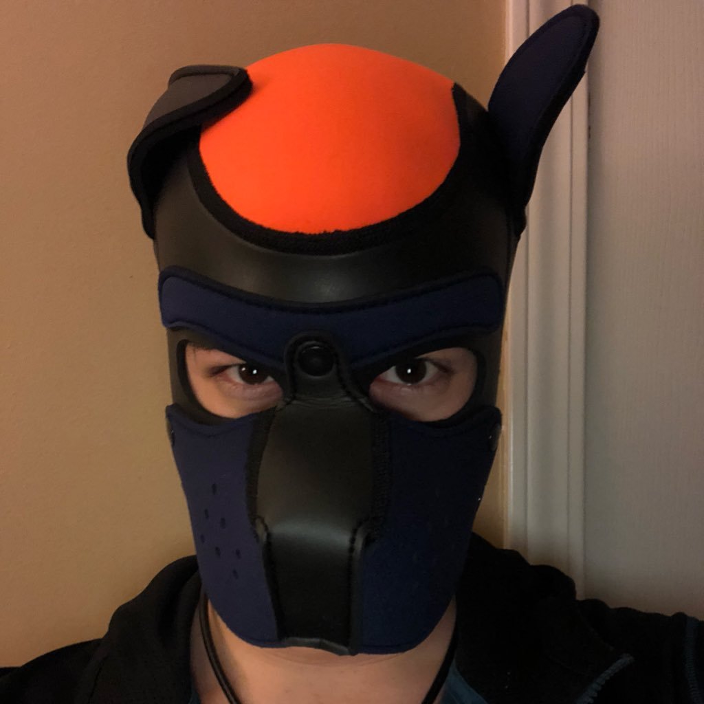 Tax for short. Pup. Locked. Hypno. Introspective. Curious. Goofy. 18+