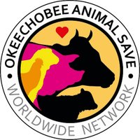 OkeechobeeAnimalSave(@OkeechobeeSave) 's Twitter Profile Photo