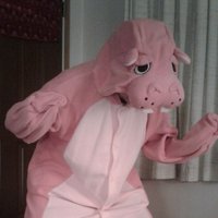 cherry (@micky_hj) 's Twitter Profile