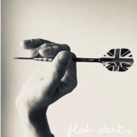 平 直哉 (@flat_darts) 's Twitter Profile