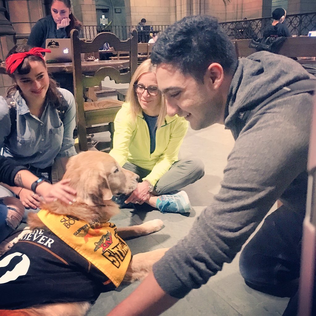 h0shang's profile picture. 27 year old geek. Sensei of bullshido. Arsenal Once upon a time. Sunday League is the toughest league.