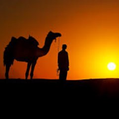 suryacallingsu1's profile image