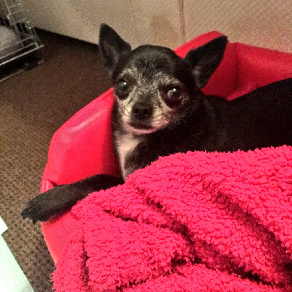 Hope40000000000's profile picture. 