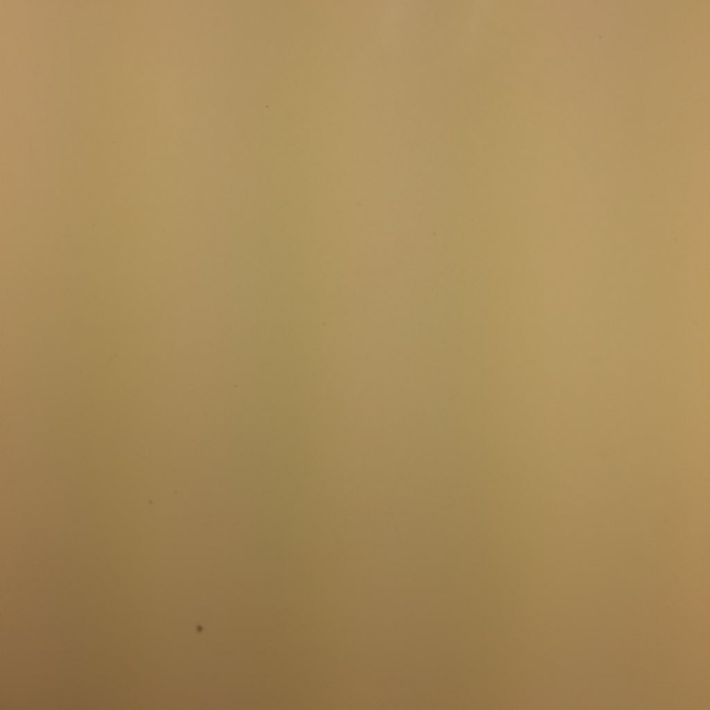 treBonkers's profile picture. 