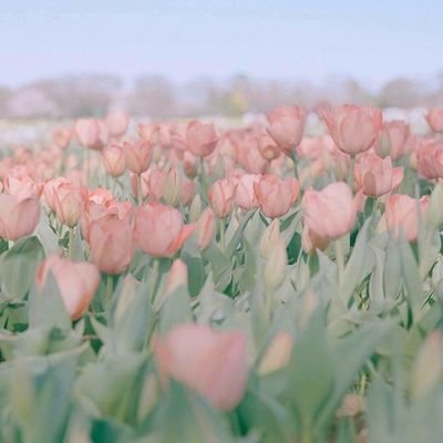 hh_22p's profile picture. 砂糖のように生きてます()

カワイイ子とイケメンがダイスキ                                  
無言フォロー許してクダサイ