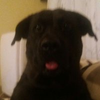 Kaz ...( truth, faith and happiness sets u free) (@kaz4me2know) 's Twitter Profile
