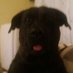 Kaz ...( truth, faith and happiness sets u free) (@kaz4me2know) Twitter profile photo Kaz ...( truth, faith and happiness sets u free) (@kaz4me2know) Twitter profile photo