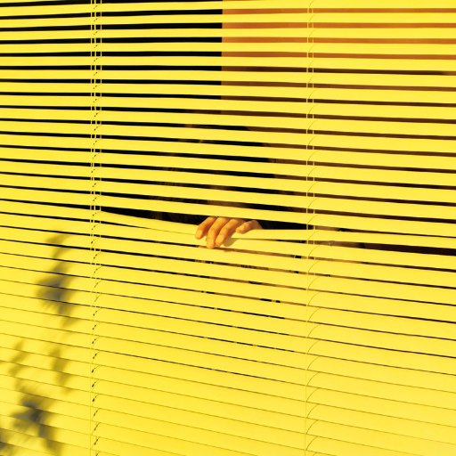 MonsieurMottais's profile picture. 