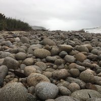 Rebecca Macfie (@rebeccamacfie) 's Twitter Profile Photo