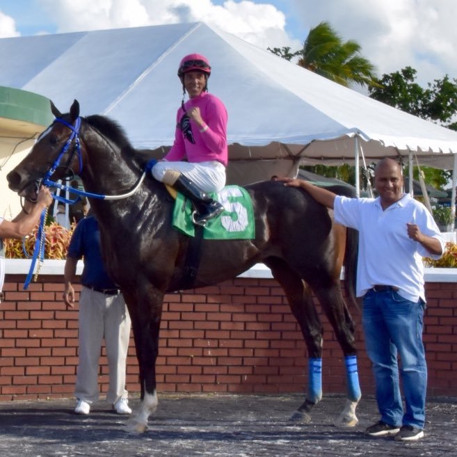 entrenador de caballos pura sangre de carreras