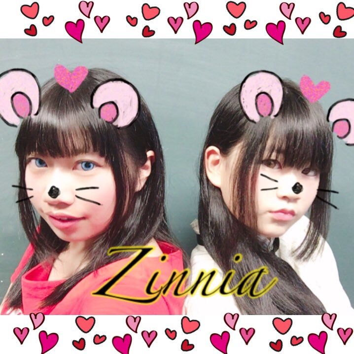 現役JK2人組のZinnia(ジニア)です！メンバーは あひる、神堕(みお)です！踊ったりコスプレしたり歌ったりが好きです~💕 ※2人の共通アカウントのためリプライが重複してしまう可能性があります