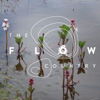 The Flow Country(@TheFlowCountry) 's Twitter Profileg