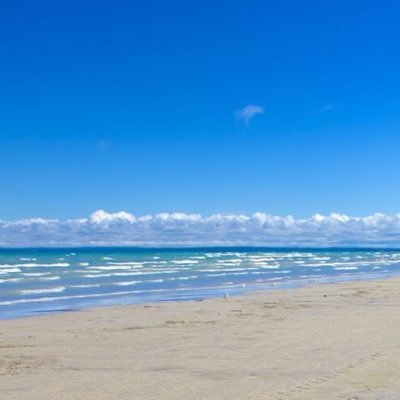 HEY CCSS this is your 2018 Wasaga Twitter Page! All details & info will be posted as soon as we have it! Your organizers are Sadie Lanee Vic.W & Erik.V 🌞🍻🎉