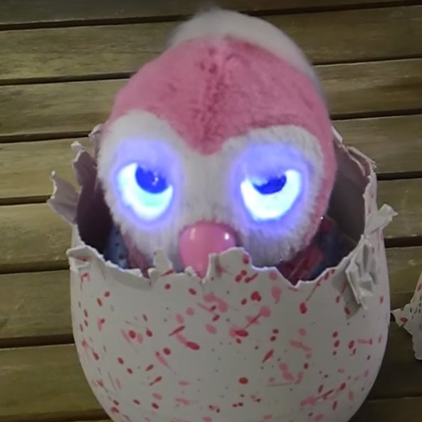 lapassionanimau's profile picture. les animaux c ma passion je suis soigneuse animalière a serza😘😘😘😍😍