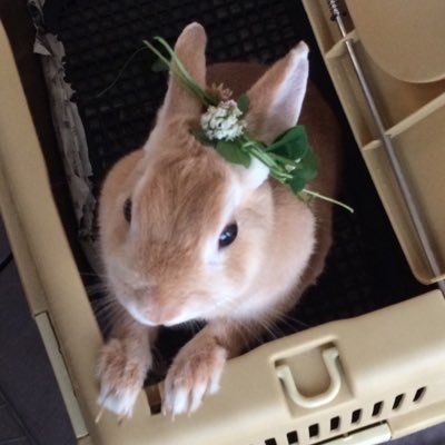 Ds1Qm's profile picture. 