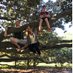 Zachary Proffitt (@proffbioteach) Twitter profile photo Zachary Proffitt (@proffbioteach) Twitter profile photo