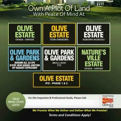 RotimiSesa's profile picture. real estate