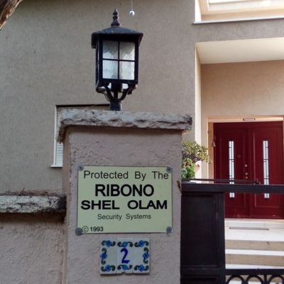 Danmishmar's profile picture. I am a professor of genetics, focusing on mitochondrial genomics and evolution