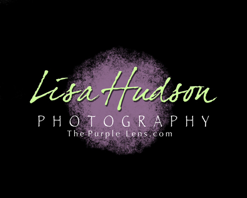 LisaHudsonPhoto's profile picture. LISA HUDSON ~ is a freelance photographer for the Associated Press, Commercial Photographer, Studio Co-owner and Avid Sports Shooter.