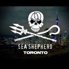 SeaShepherdTO Profile Picture