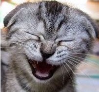 skydeep2009's profile picture. #มีสติ จะทำให้เราควบคุมทุกสิ่ง #ไร้สติ ทุกสิ่งจะควบคุมเรา