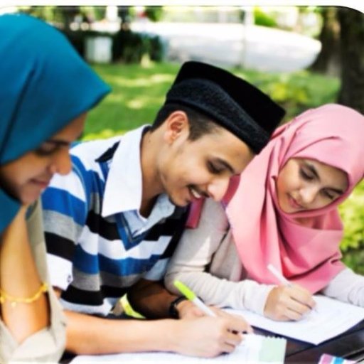 Project IMAGE (Identities of Muslim-American Adolescents, and their Growth and Excellence) is a research project conducted by the CCAD lab at UMBC