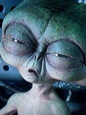 half time sToNeR|waking every morning is nature|very loyal|chilled hommie with an UNKNOWN crew|