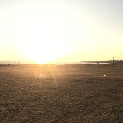 m_montemaggi's profile picture. 