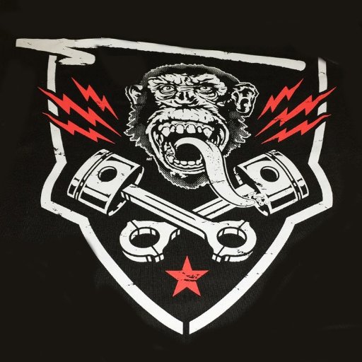 SamohtSuark's profile picture. Youth would be an ideal state if it came a little later in life.