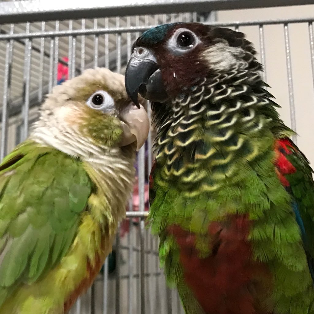 CarrieHirsch's profile picture. 