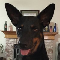 Cheryl Hammons (@cleoinok) 's Twitter Profile Photo