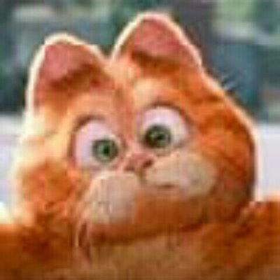 taklom's profile picture. I am a Cat.