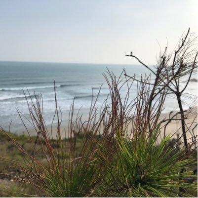 BW47351065's profile picture. 