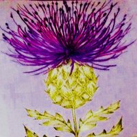Therese Wolff (@wolff_therese) 's Twitter Profile