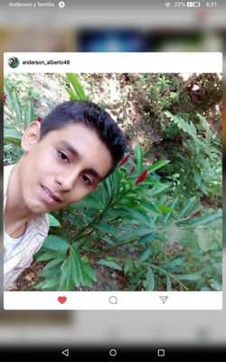 Anderson24em's profile picture. 