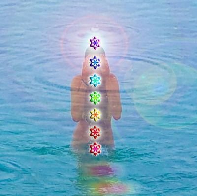 SacredFreqs's profile picture. AME
Advanced 
Meditations
Everyday