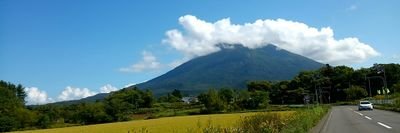 REACTO5000's profile picture. 