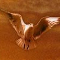 MGNREGA News (@nreganews) 's Twitter Profile