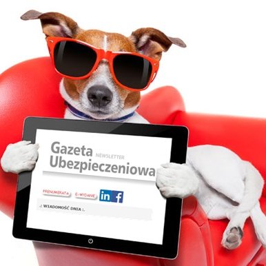 ubezpieczeniowa's profile picture. Tygodnik pasjonatów ubezpieczeń